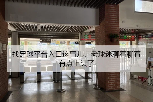 找足球平台入口这事儿，老球迷聊着聊着有点上头了