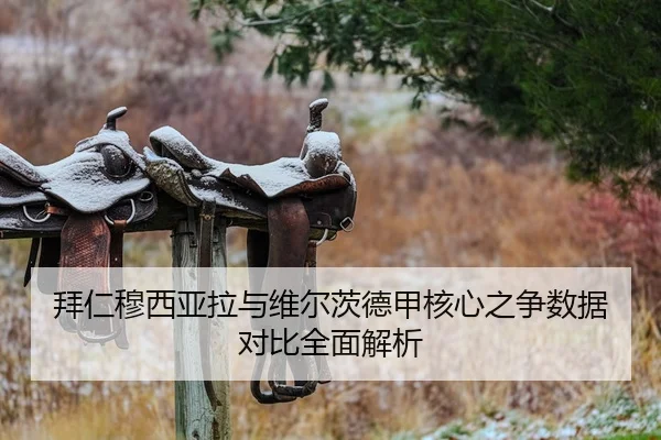 拜仁穆西亚拉与维尔茨德甲核心之争数据对比全面解析