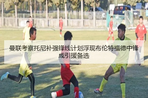 曼联考察托尼补强锋线计划浮现布伦特福德中锋成引援备选